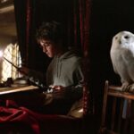 Harry y Hedwig estudiando